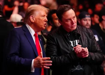 Ora il Governo americano sarà (dalla parte) di Elon Musk