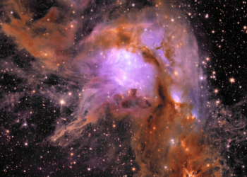 Porzione dell'immagine del telescopio spaziale Euclid che ritrae la regione di formazione stellare Messier 78. Credits: ESA/Euclid/Euclid Consortium/NASA
