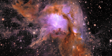 Porzione dell'immagine del telescopio spaziale Euclid che ritrae la regione di formazione stellare Messier 78. Credits: ESA/Euclid/Euclid Consortium/NASA