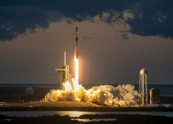 I lanci del 2024, e cosa aspettarci nel 2025 – Speciale Launchpad