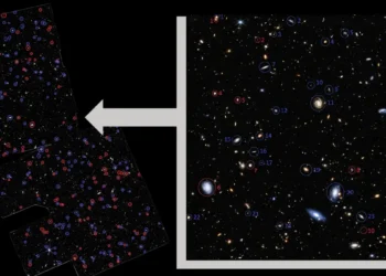 Galassie osservate dal James Webb. Quelle che ruotano in una direzione cerchiate in rosso, quelle che ruotano nell'altra sono cerchiate in blu. Credits: Shamir 2025
