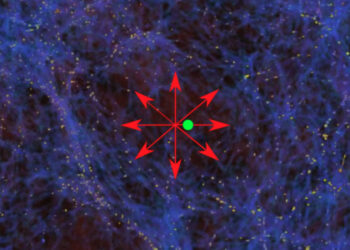 Se la nostra galassia si trovasse in un vuoto cosmico, come la posizione del punto verde, la materia si allontanerebbe rapidamente da noi a causa di una maggiore attrazione gravitazionale dalle regioni circostanti più dense, come mostrato dalle frecce rosse. Credits: Moritz Haslbauer e Zarija Lukic