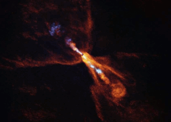 La stella neonata HOPS-315, dove è stata osservata per la prima volta la prova delle prime fasi della formazione planetaria. L'immagine è di ALMA. Credits: ALMA(ESO/NAOJ/NRAO)/M. McClure et al.