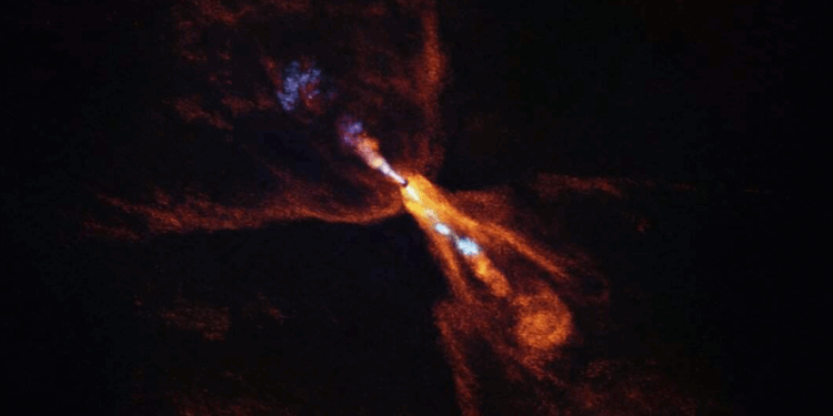 La stella neonata HOPS-315, dove è stata osservata per la prima volta la prova delle prime fasi della formazione planetaria. L'immagine è di ALMA. Credits: ALMA(ESO/NAOJ/NRAO)/M. McClure et al.